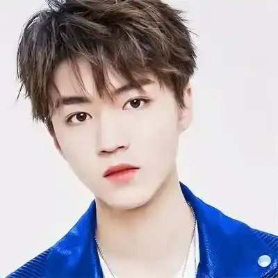 元梅宝